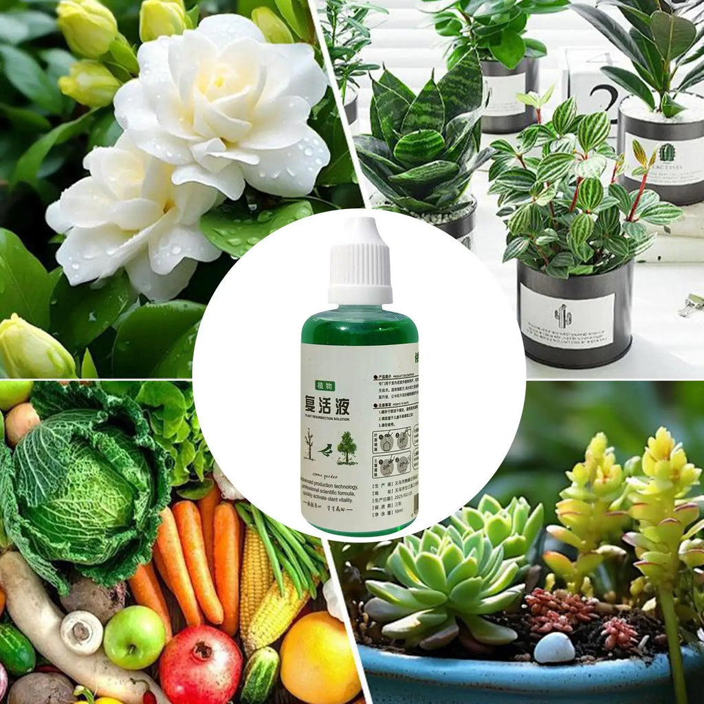 Organic Root Stimulator Liquid Fertilizer for Plants – 50ml Liquid Plant Fertilizer Axl
