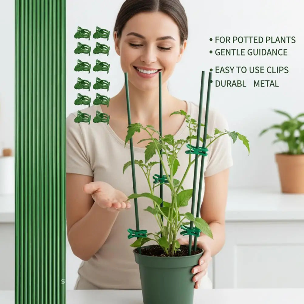 Green Plant Support Stakes & Clips – Indoor & Outdoor Plants Plant Support Stakes Axl