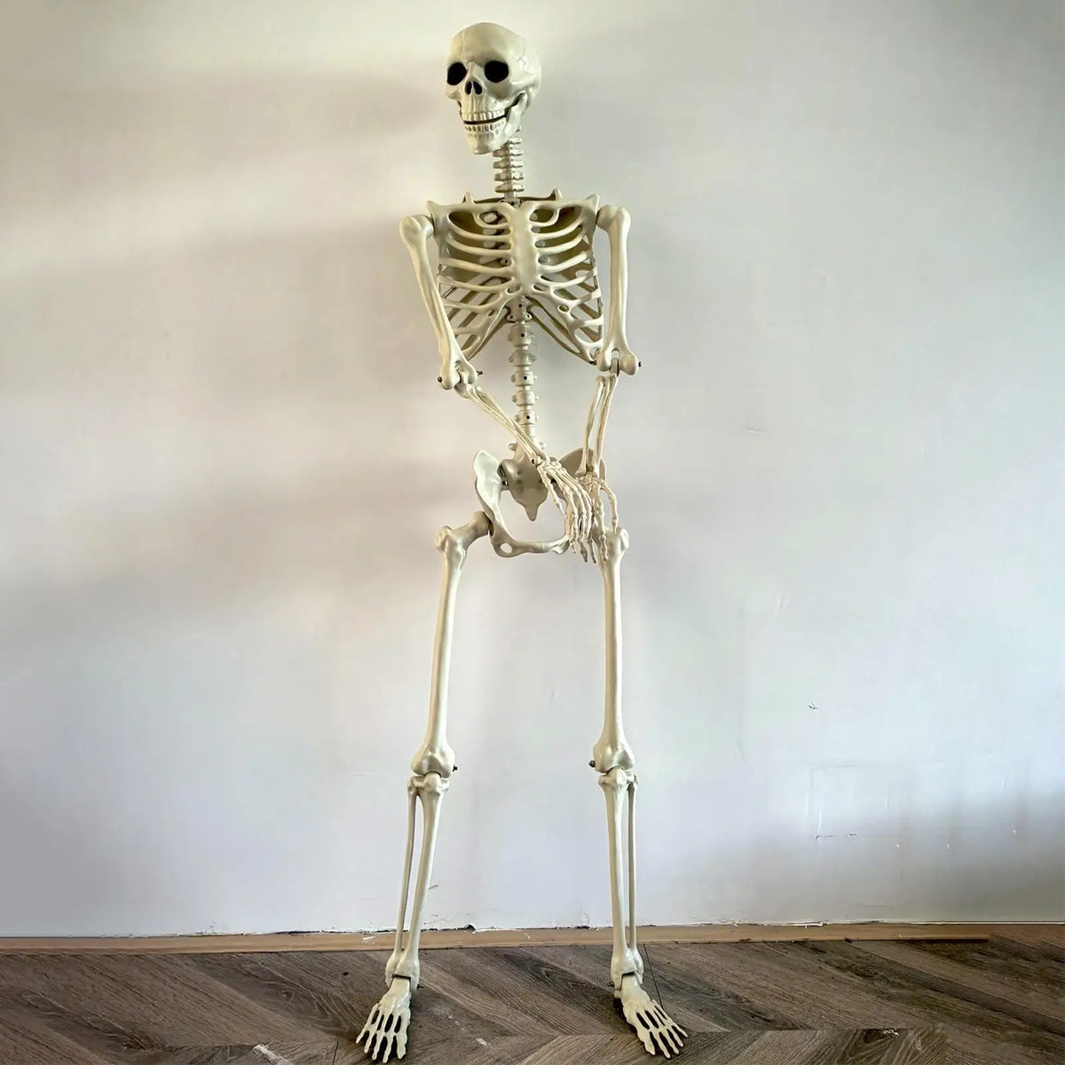 Life-Size Halloween Skeleton with Posable Joints | Haunted Decor Halloween Skeleton Decor Axl