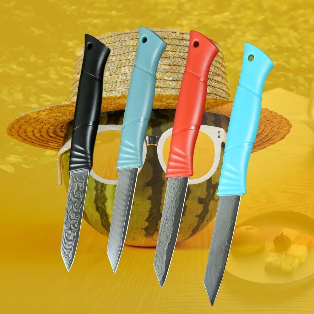 3-Inch Damascus Paring Knife – 67-Layer VG10 Steel Core Damascus Paring Knife Axl