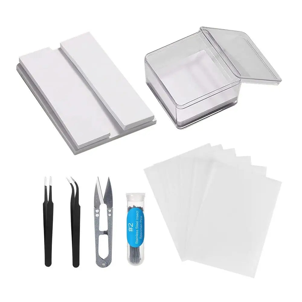 DIY Butterfly Specimen Kit – Insect Pin Wing Board Display Set Specimen Display Kit Axl Set