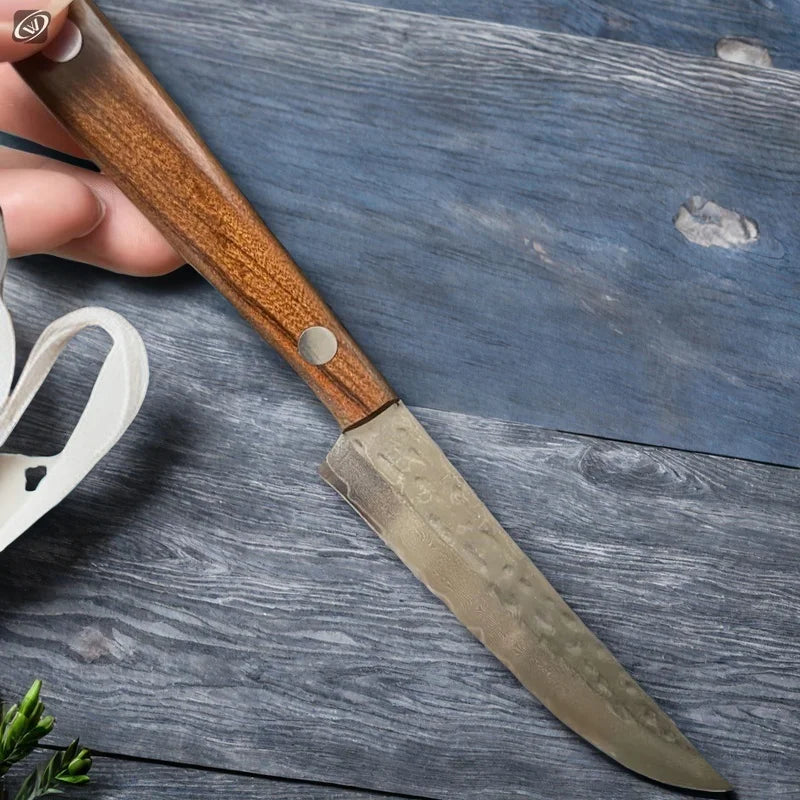67-Ply Damascus Steel Paring Knife – Wood Handle | Sharp Damascus Kitchen Knife Axl