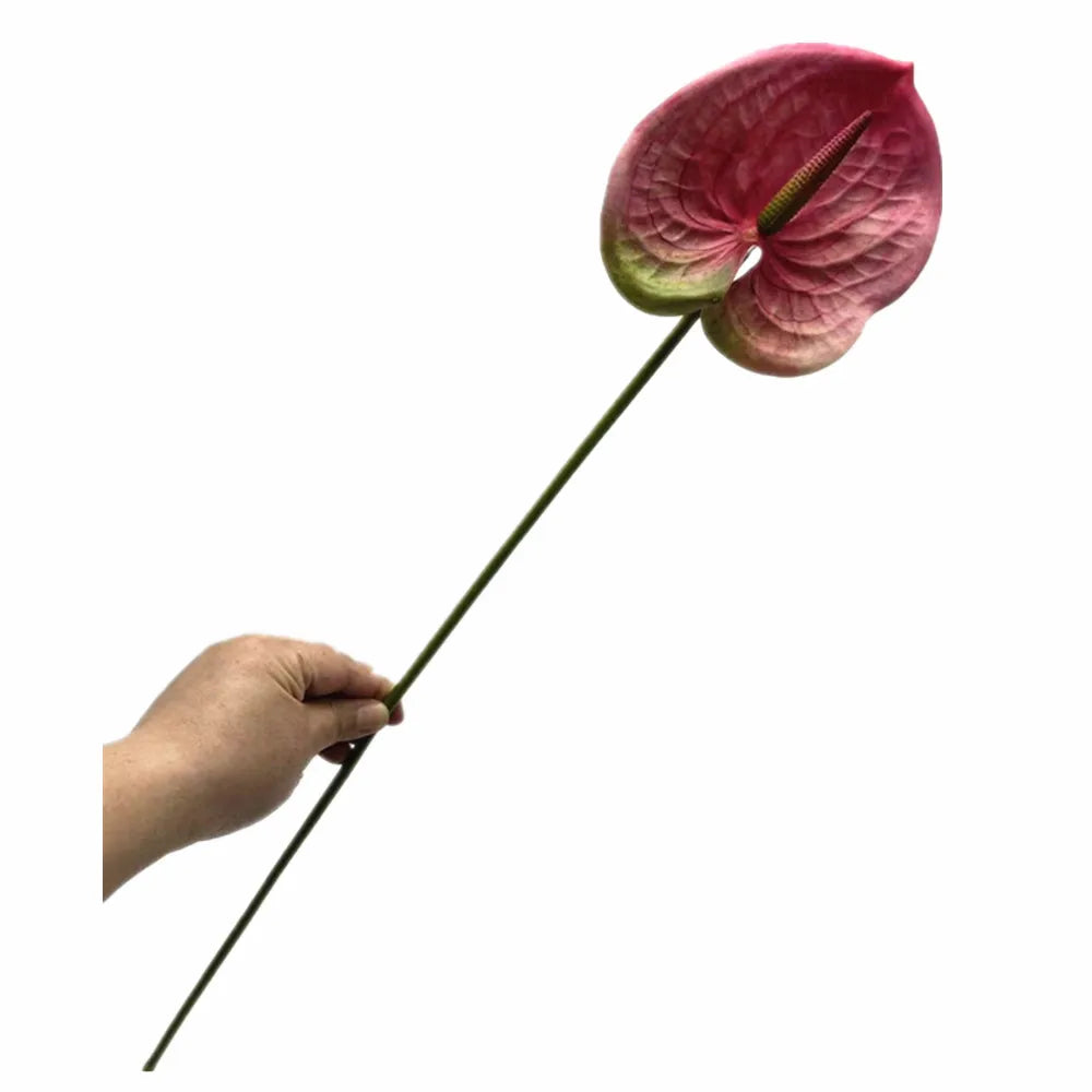 Real Touch PU Anthurium Artificial Flower Branch 61cm Stem Artificial Flower Branch Axl Deep Pink