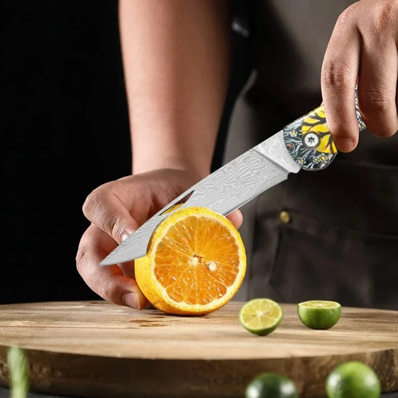 Damascus Steel Folding Pocket Knife – Sharp Blade, Resin Handle Folding Pocket Knife Axl