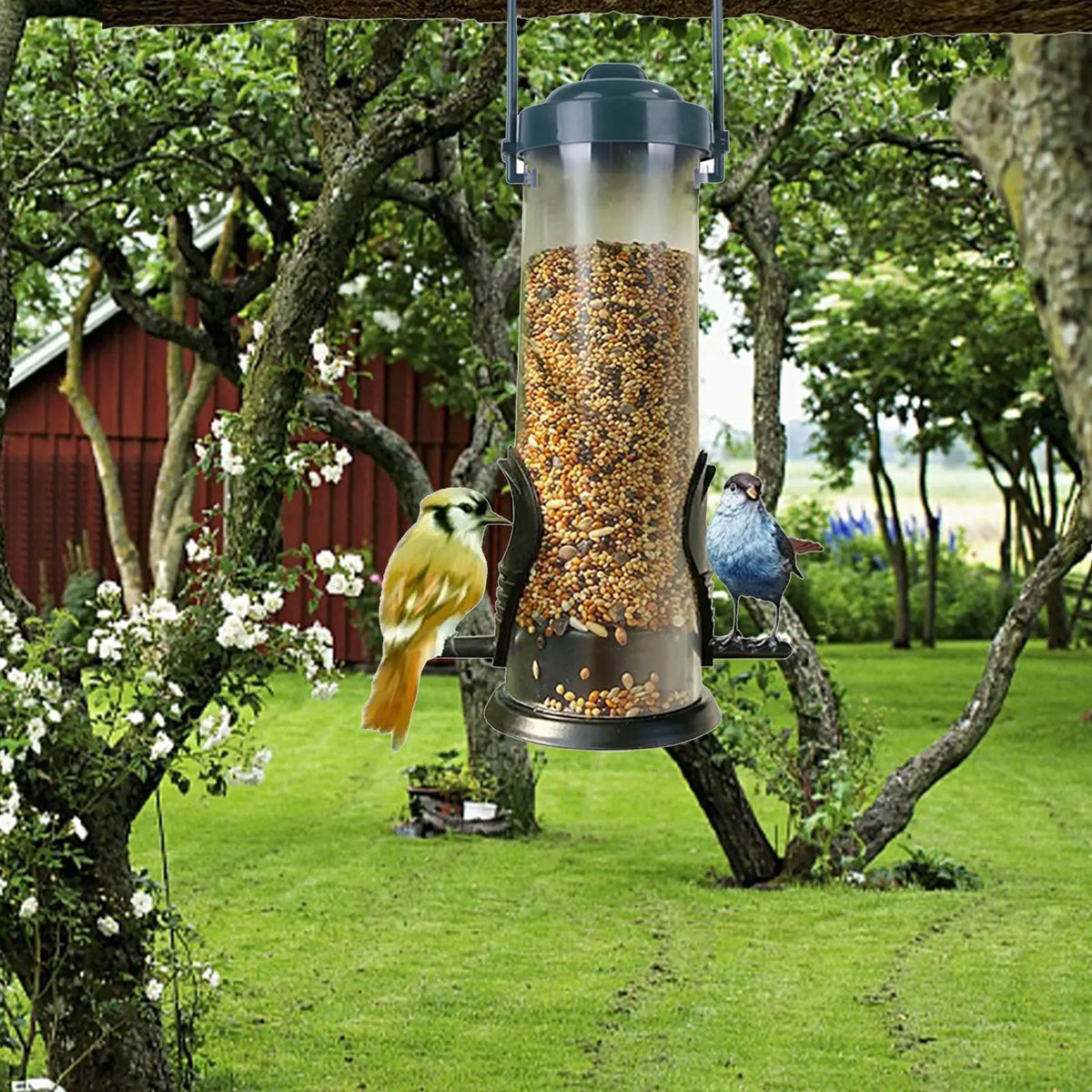 Outdoor Hummingbird & Wild Bird Feeder Tube | Balcony Garden Wild Bird Feeder Axl