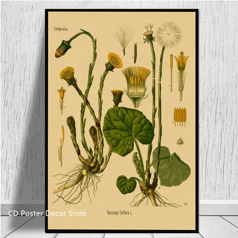 Botanical Medicinal Plants Vintage Kraft Paper Poster | Wall Art Wall Art Poster Axl