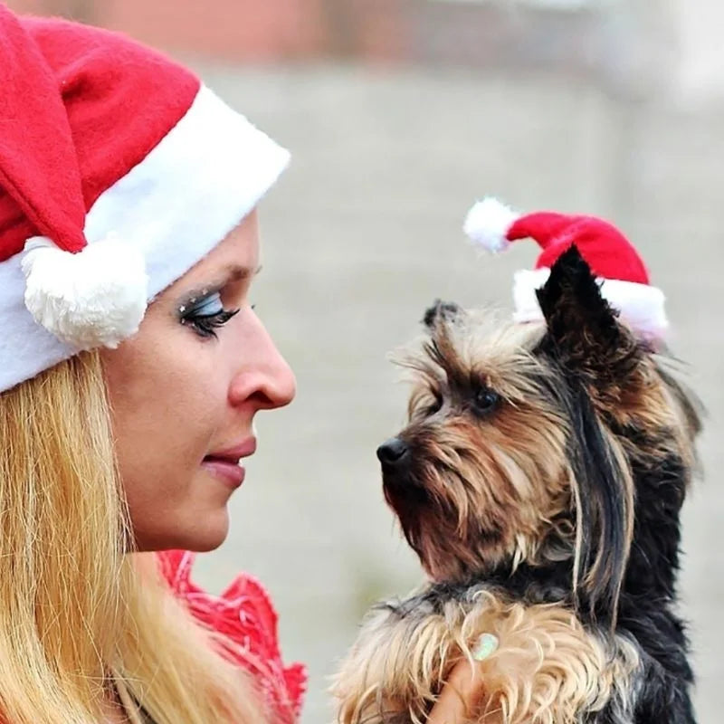 Christmas Santa Hat for Cats & Dogs – Xmas Pet Costume Pet Costume Hat Axl