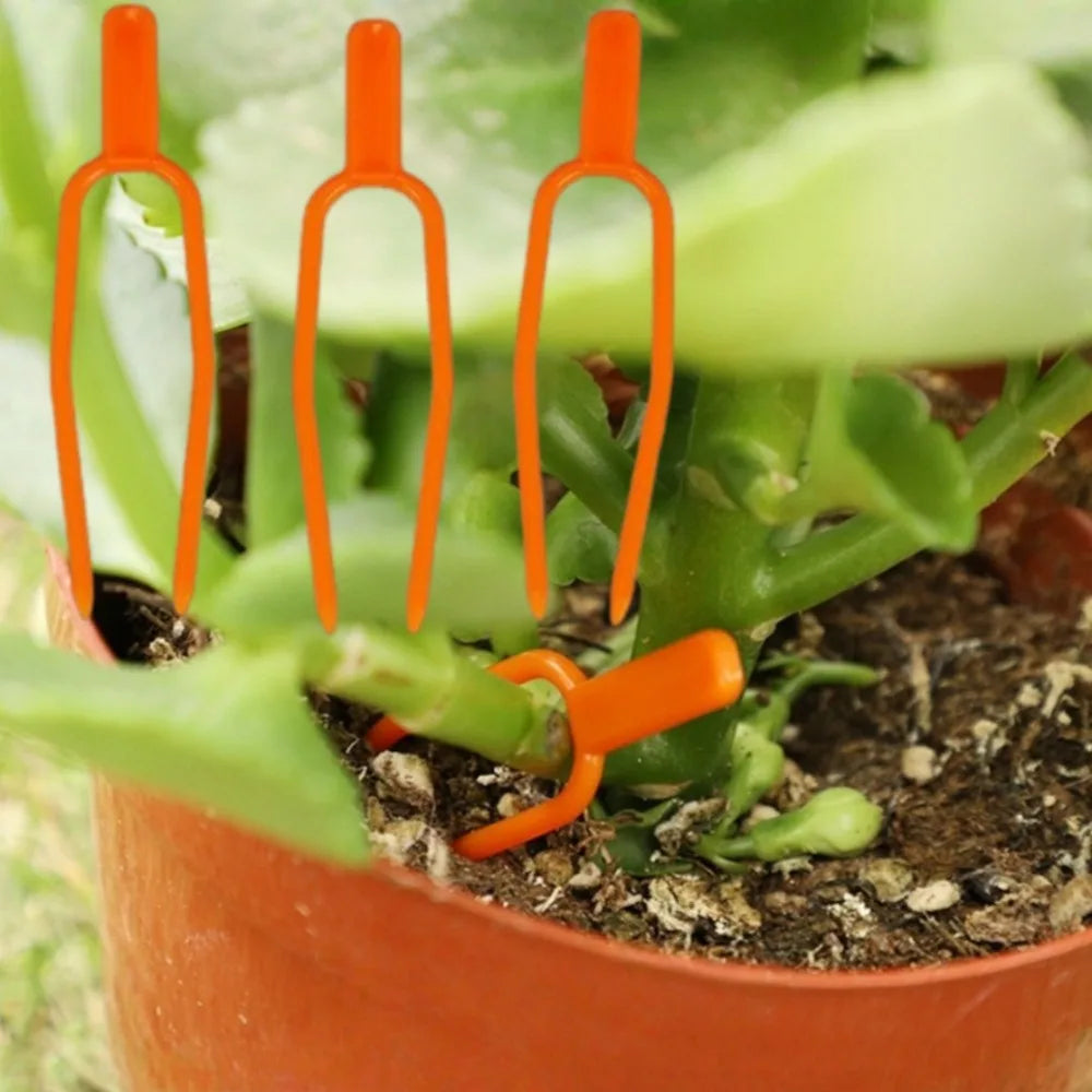 50-Pack Plastic Plant Clips – Stem & Seedling Support Clips Plant Support Clips Axl