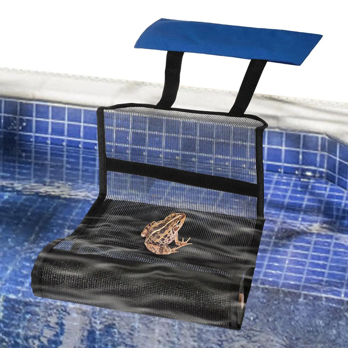 Pool Animal Escape Ramp – Critter Safety Rescue Net Pool Safety Ramp Axl