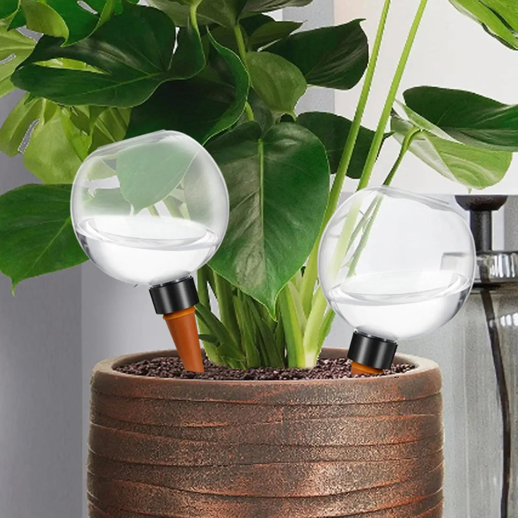 500ml Automatic Plant Watering Globe – Self-Watering Spike Plant Watering Globe Axl