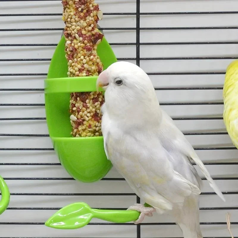 Bird Cuttlebone & Food Holder for Parrot, Budgie & Cockatiel Bird Cage Feeder Axl