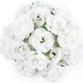Silk Cream Rose Artificial Flower Heads – 10 or 50 Pack Artificial Silk Flowers Axl 6 50pieces