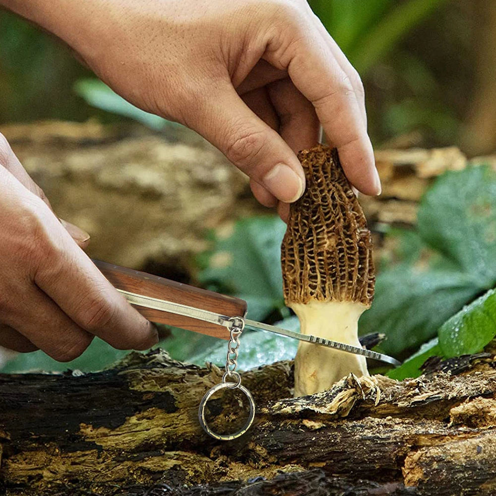 Mushroom Foraging Folding Knife & Brush – Rosewood EDC Folding Foraging Knife Axl