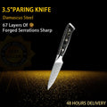Damascus Knife Set VG10 67-Layer | Chef, Santoku & Boning Damascus Knife Set Axl 3.5 inch fruit knife China Mainland