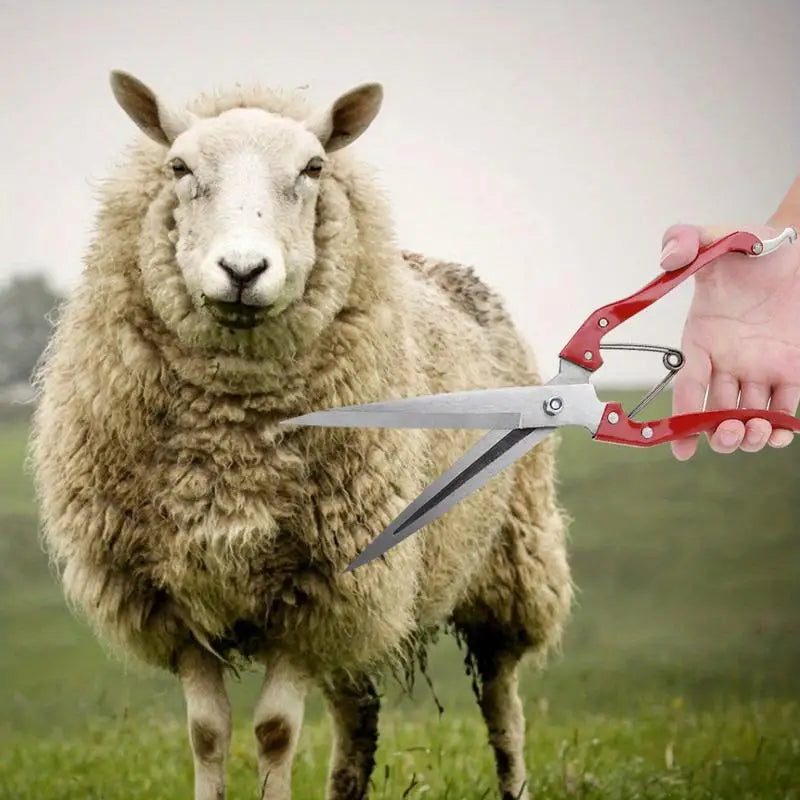Manual Spring-Loaded Sheep Shear | Carbon Steel Wool Scissor Livestock Shearing Tool Axl