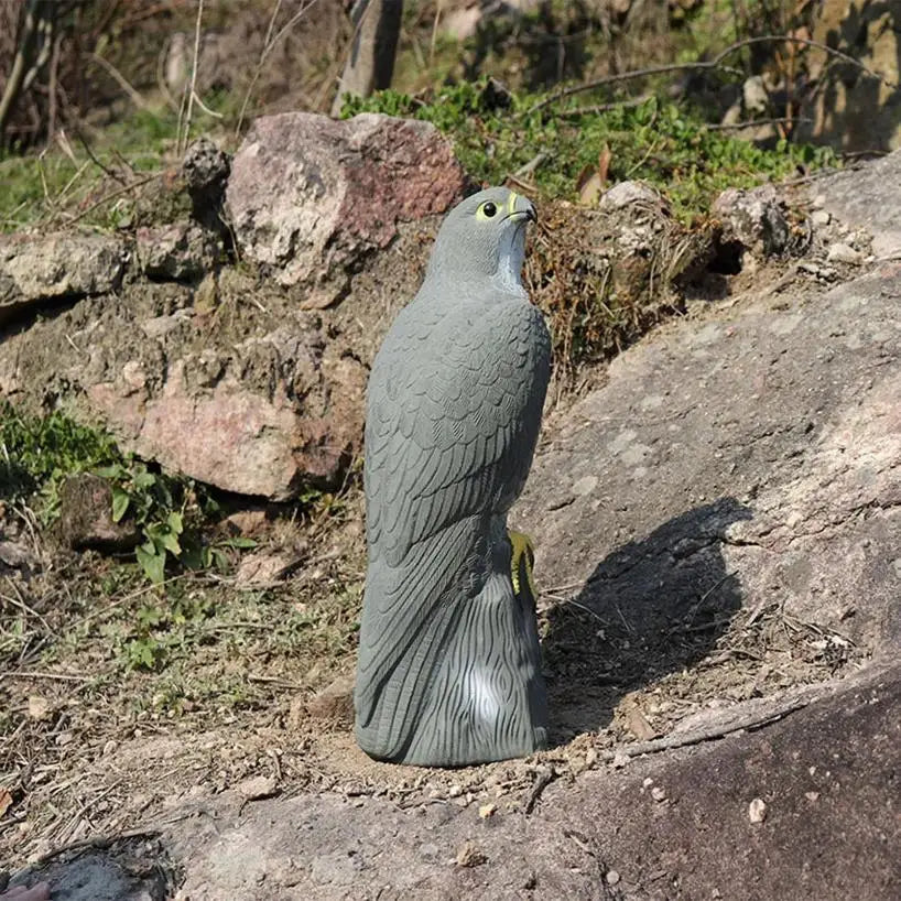 Realistic Eagle Decoy Bird Scarer – Garden & Yard Deterrent Garden Bird Deterrent Axl