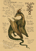 Vintage Animal Kraft Paper Poster – Dragon, Fox, Wolf & More Wall Art Poster Axl 3 A4 8.3x11.8inch