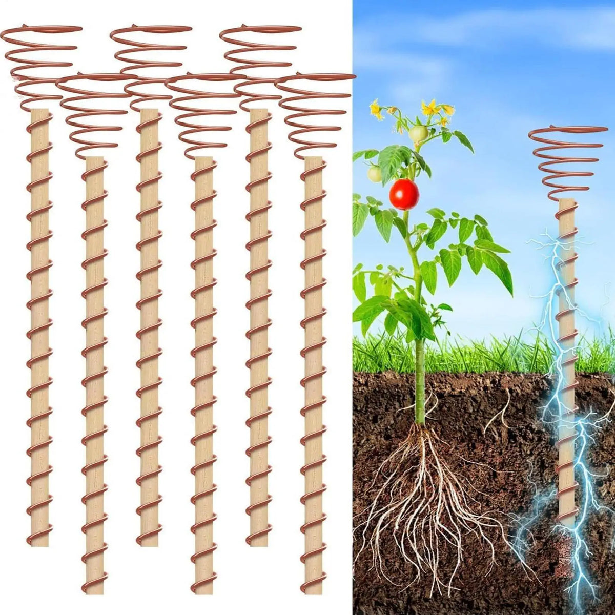 6-Pack Copper Coil Garden Stakes – Electroculture Plant Support Garden Plant Stakes Axl Default Title