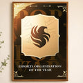 Esports Team Falcons Wall Poster – Self-Adhesive HD Art Wall Art Poster Axl White09 50X70cmNoframe