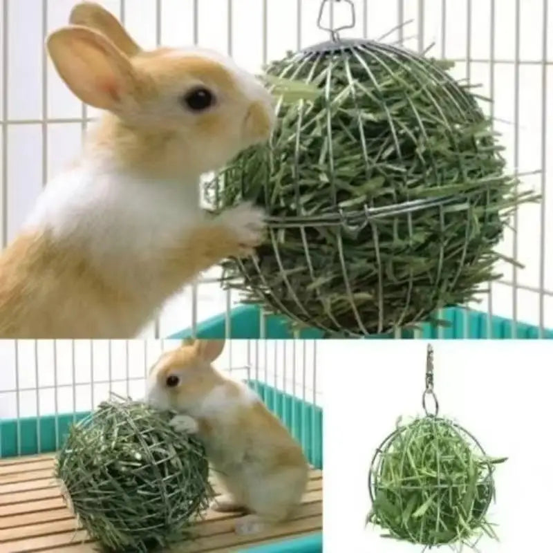 Stainless Steel Hanging Hay Feeder Ball for Small Pets Small Pet Feeder Axl