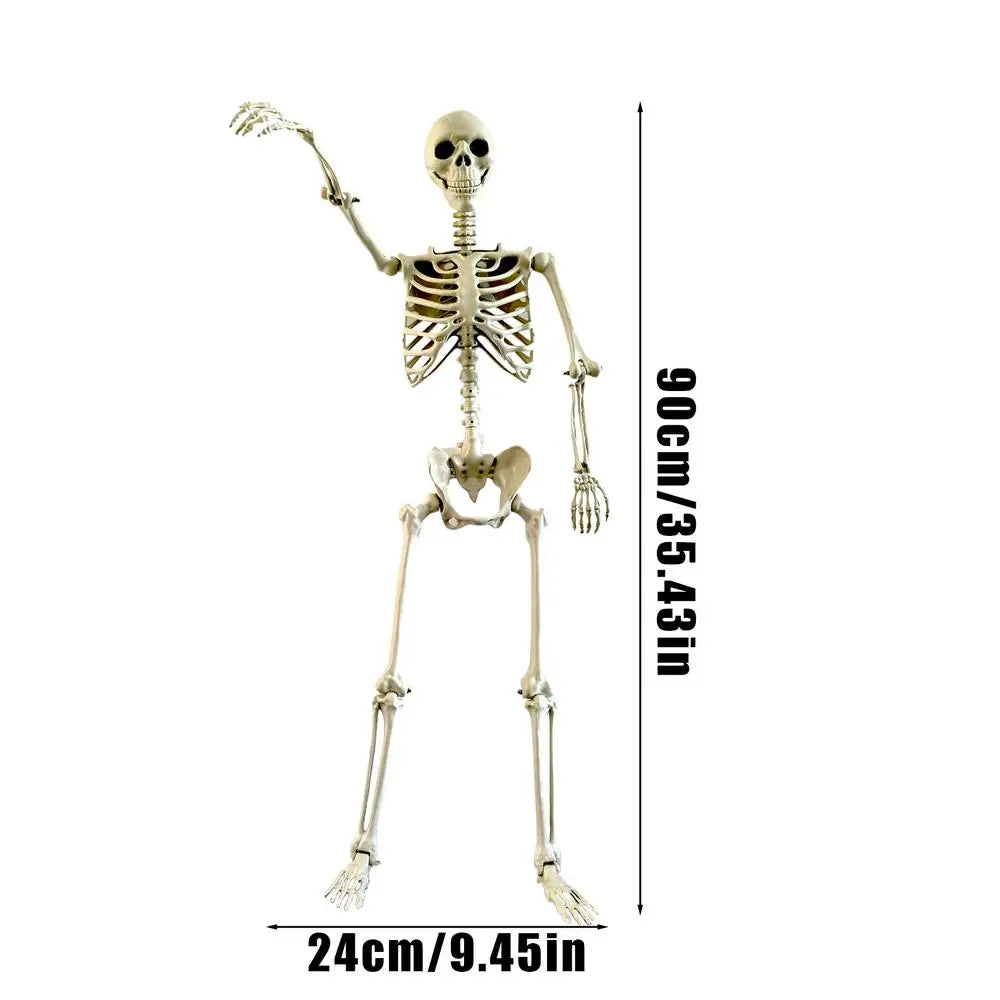 Life-Size Halloween Skeleton with Posable Joints | Haunted Decor Halloween Skeleton Decor Axl 90cm
