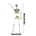 Life-Size Halloween Skeleton with Posable Joints | Haunted Decor Halloween Skeleton Decor Axl 90cm