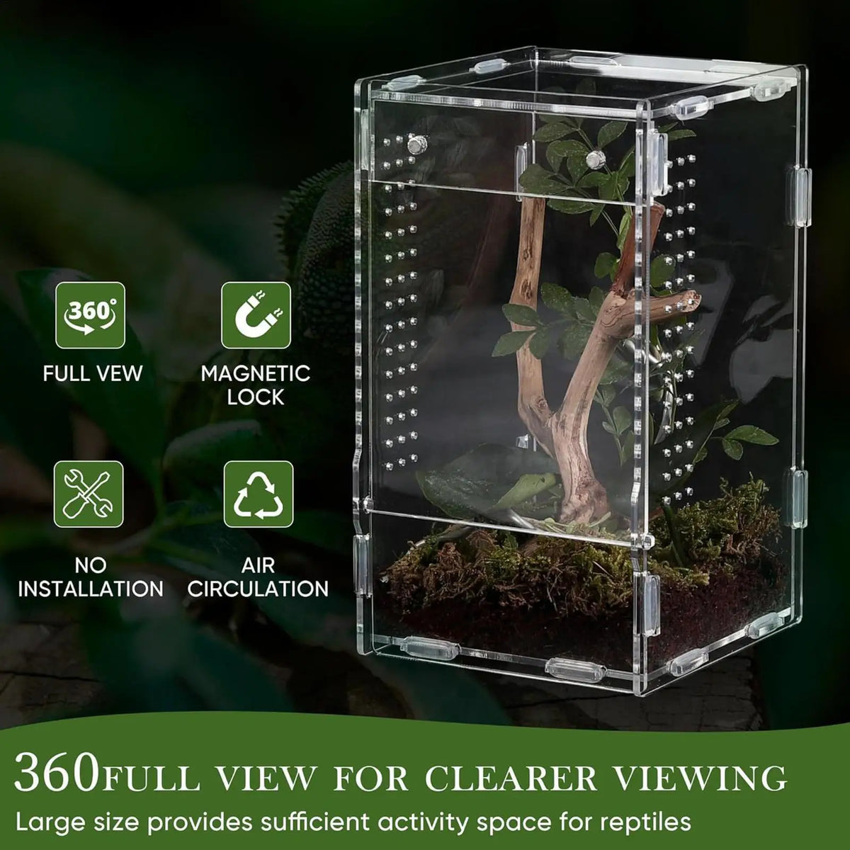 Acrylic Jumping Spider Enclosure – Escape-Proof Ventilated Tank Spider Enclosure Axl