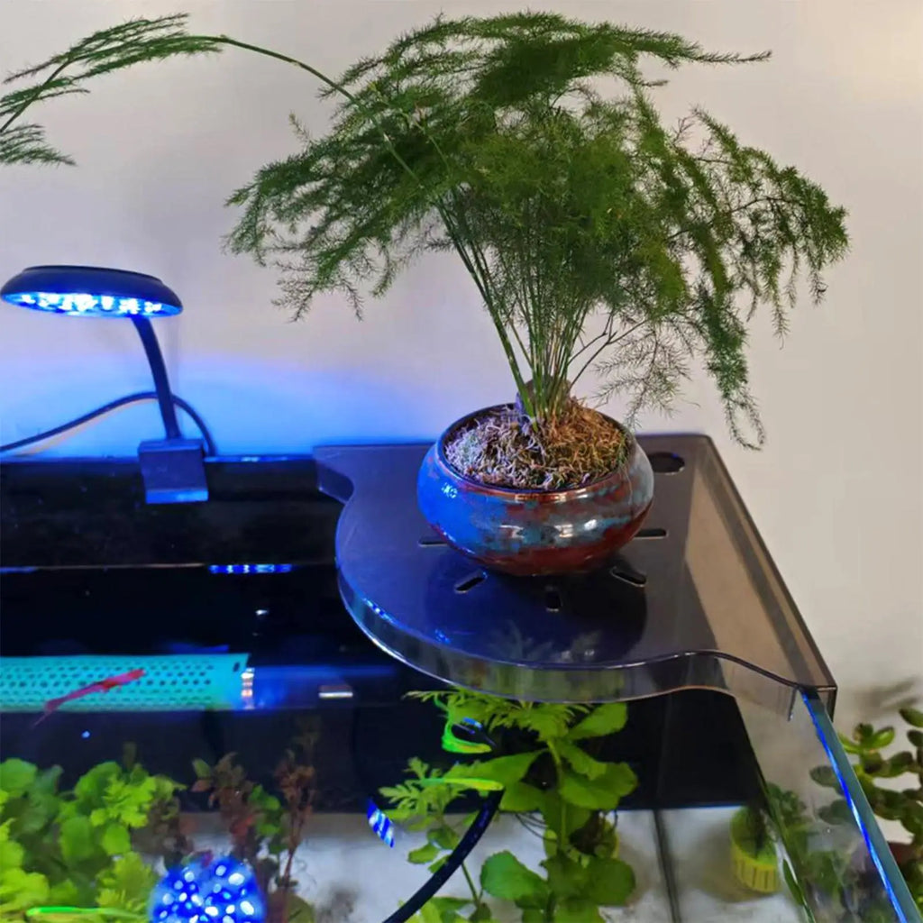Triangle Aquarium Corner Shelf – Fish Tank Plant Holder Aquarium Corner Shelf Axl