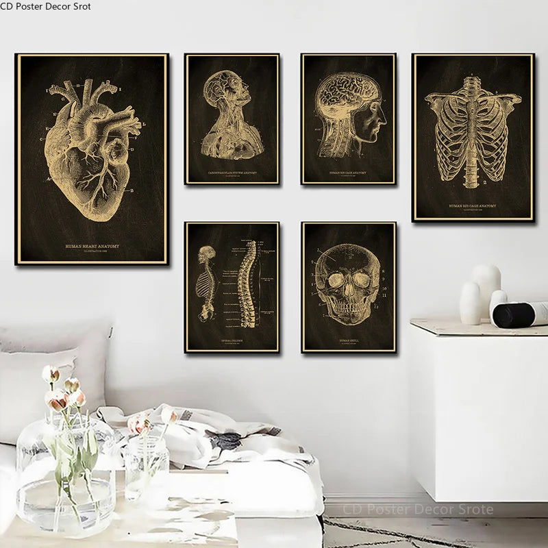 Anatomical Skeleton Vintage Kraft Paper Poster | Medical Wall Art Wall Art Poster Axl