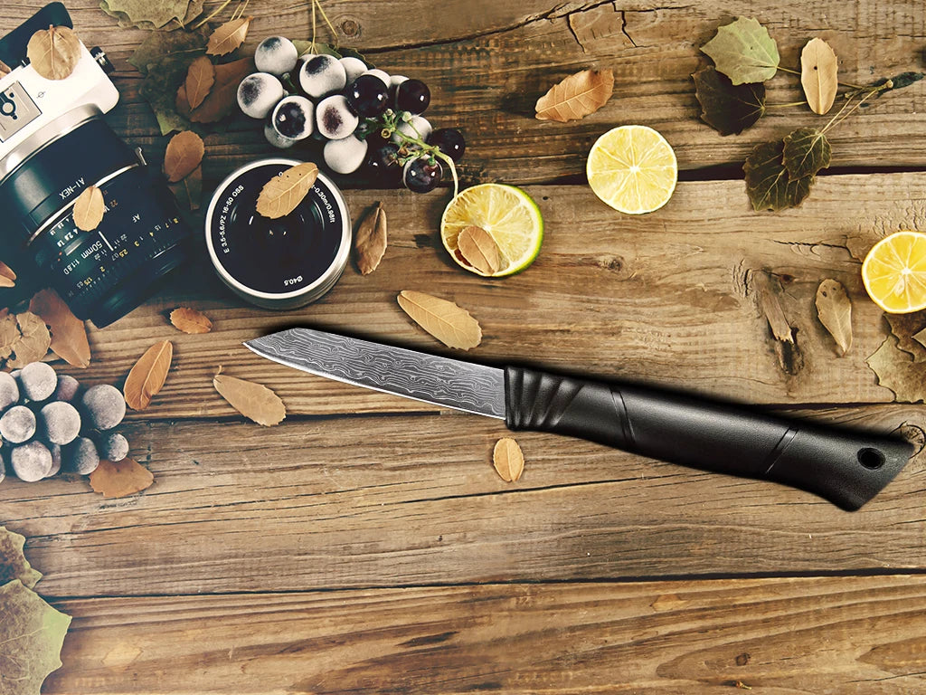 3-Inch Damascus Paring Knife – 67-Layer VG10 Steel Core Damascus Paring Knife Axl