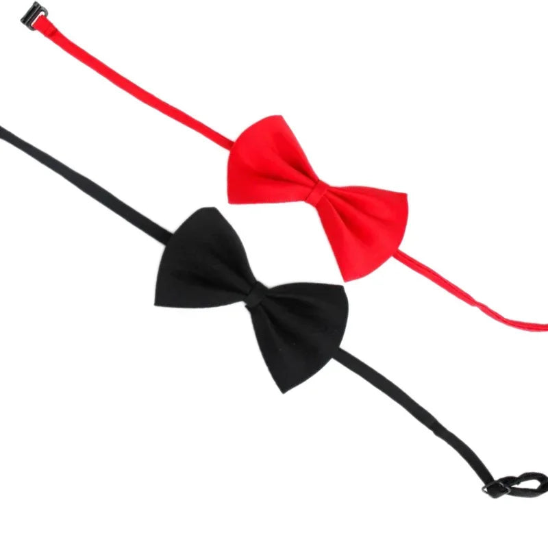 Adjustable Pet Bow Tie Collar for Dogs, Cats & Puppies Pet Bow Tie Collar Axl