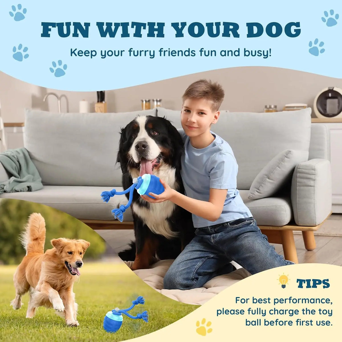 Interactive Motion-Activated Dog Ball Toy | USB Rechargeable Interactive Dog Toy Axl