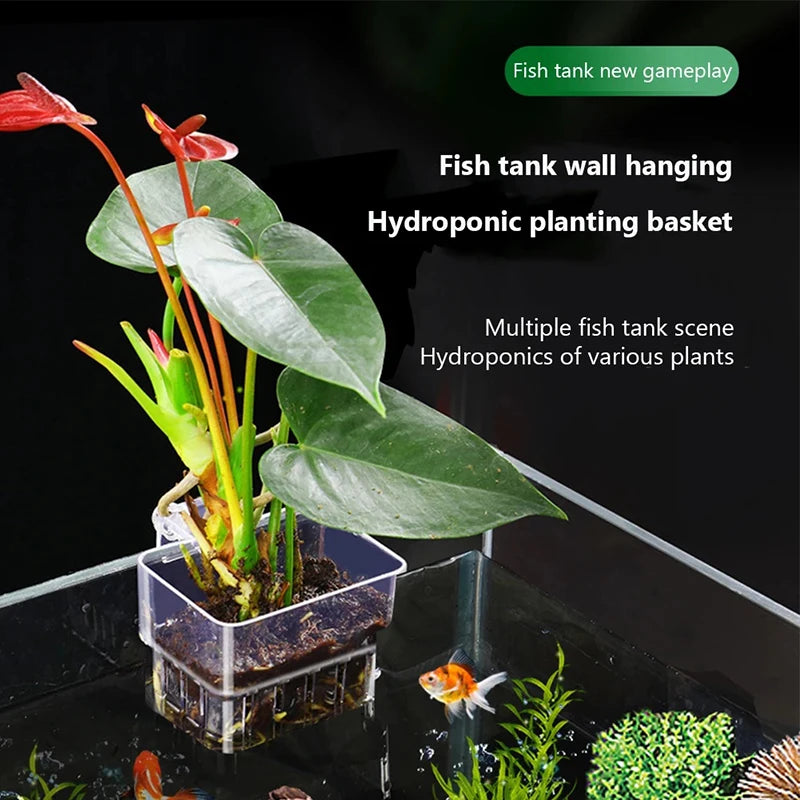 Wall-Mounted Aquarium Planter Cup – Fish Tank Plant Holder Aquarium Plant Holder Axl