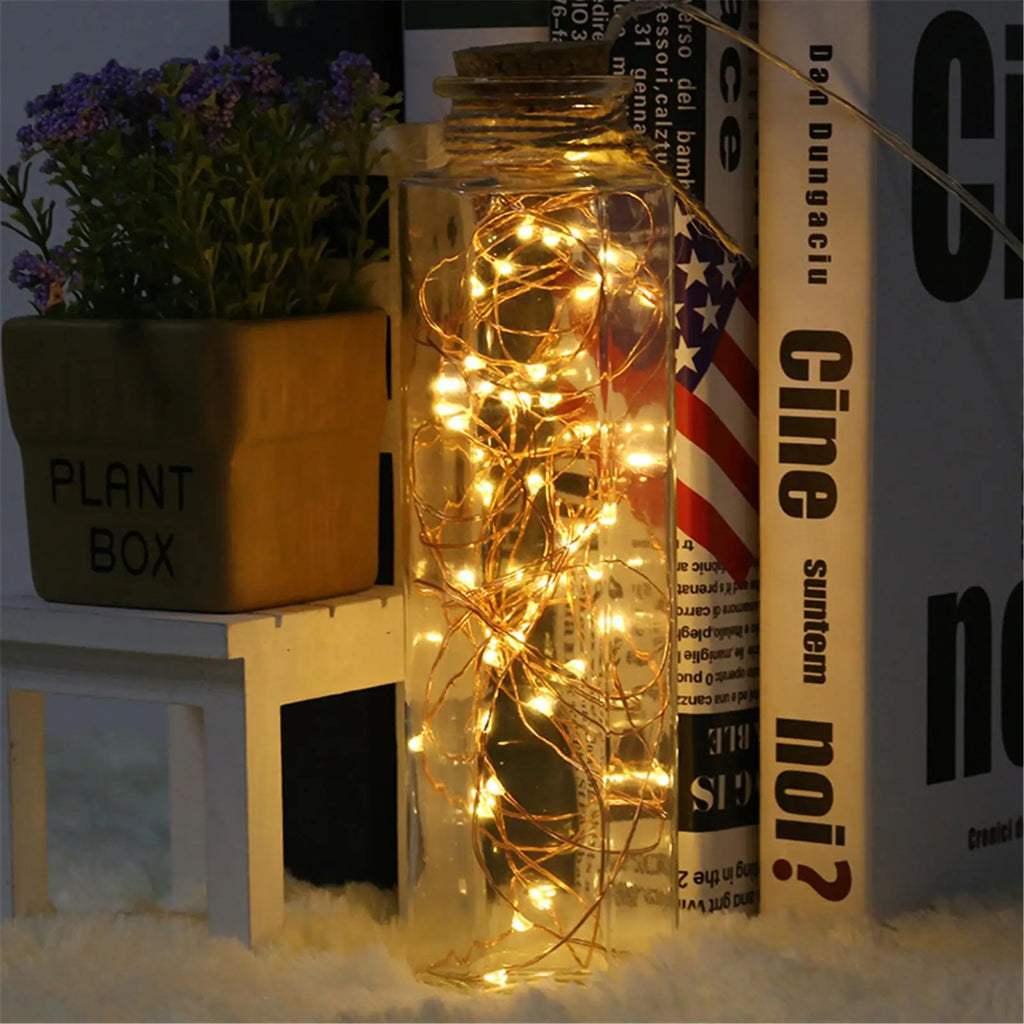 Battery Fairy String Lights – 1M 10 LED Copper Wire Twinkle LED String Lights Axl