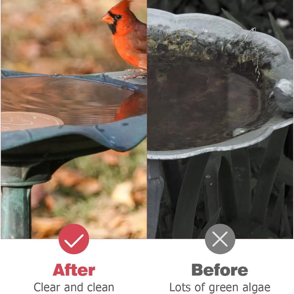 Copper Bird Bath Purification Disk | Triple-Point Support Bird Bath Accessory Axl