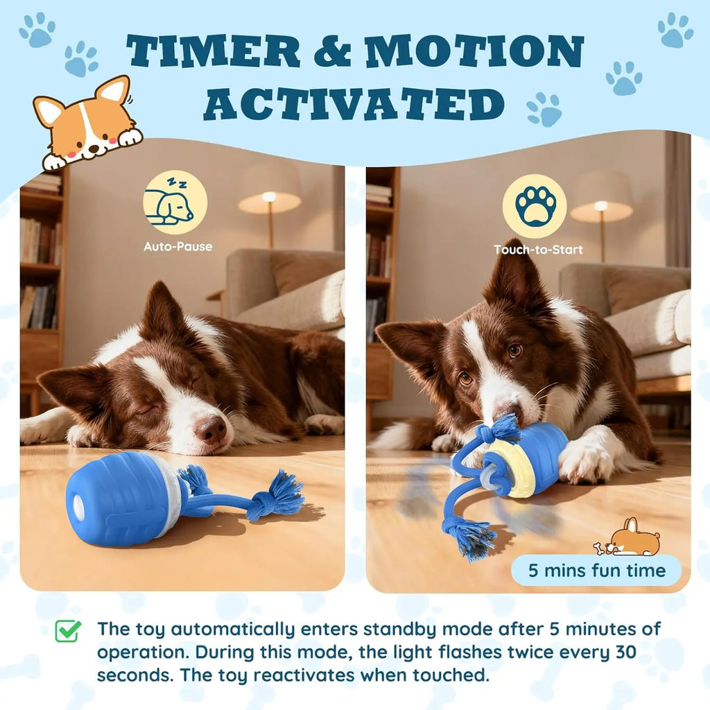 Interactive Motion-Activated Dog Ball Toy | USB Rechargeable Interactive Dog Toy Axl
