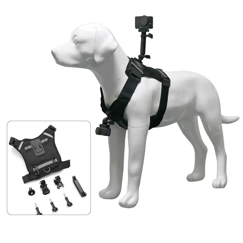 Pet Action Camera Harness Mount – GoPro, DJI & Insta360 Pet Camera Harness Axl