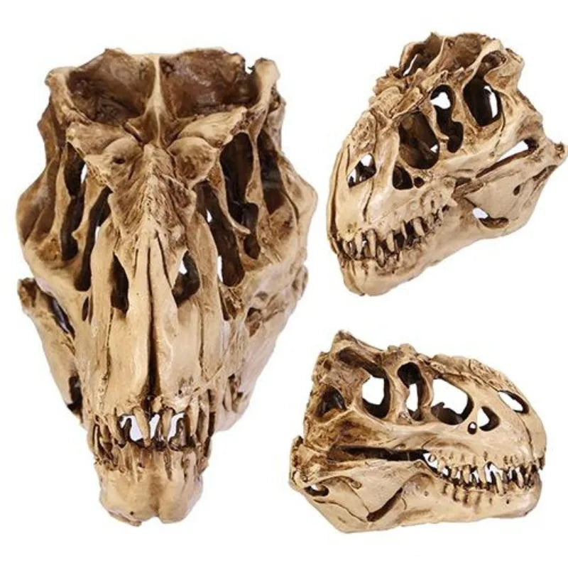 Resin Dinosaur Skull Fossil Model – Halloween & Room Decor Decorative Figurine Axl 1 pc
