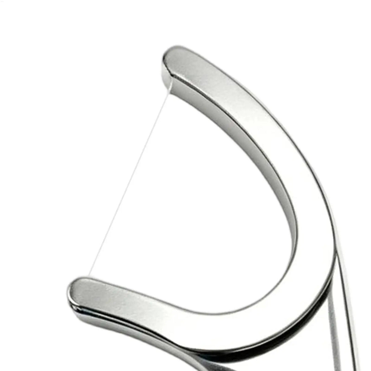 Reusable Stainless Steel Floss Picks – Refillable Metal Flosser Dental Floss Pick Axl