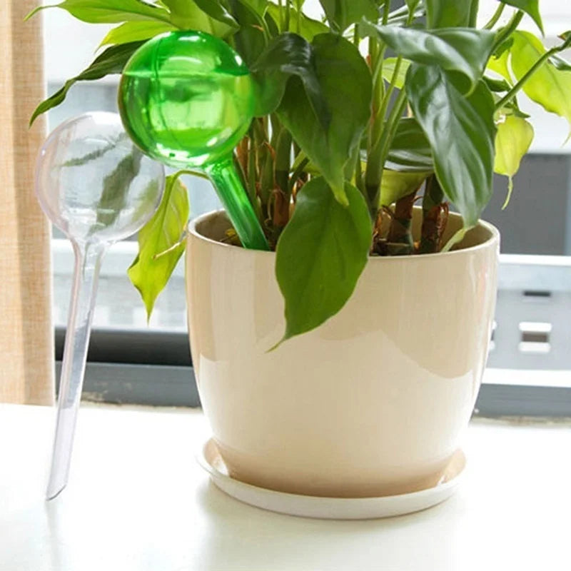 Self-Watering Plant Globe – PVC Drip Irrigation Bulb L/S Plant Watering Globe Axl