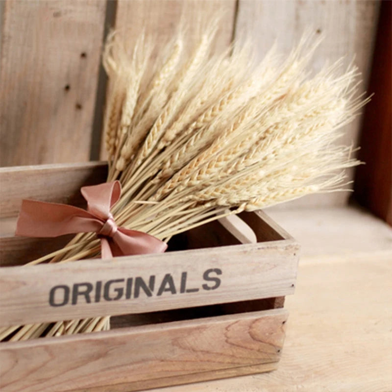 Natural Dried Wheat Spikes Bouquet – Boho Wedding & Home Decor Dried Flower Bouquet Axl