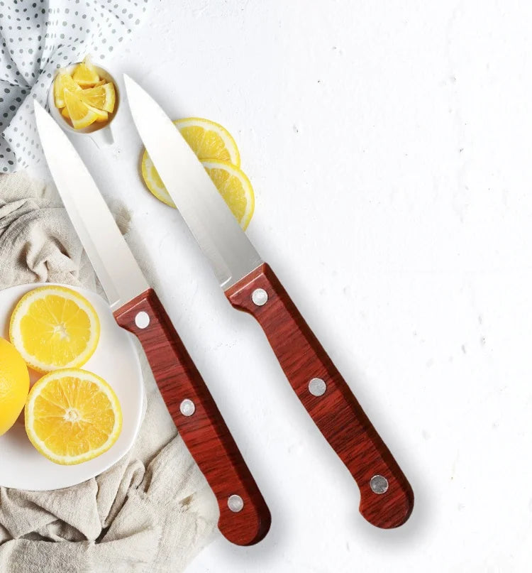 Stainless Steel Fruit Paring Knife with Wooden Handle Paring Knife Axl