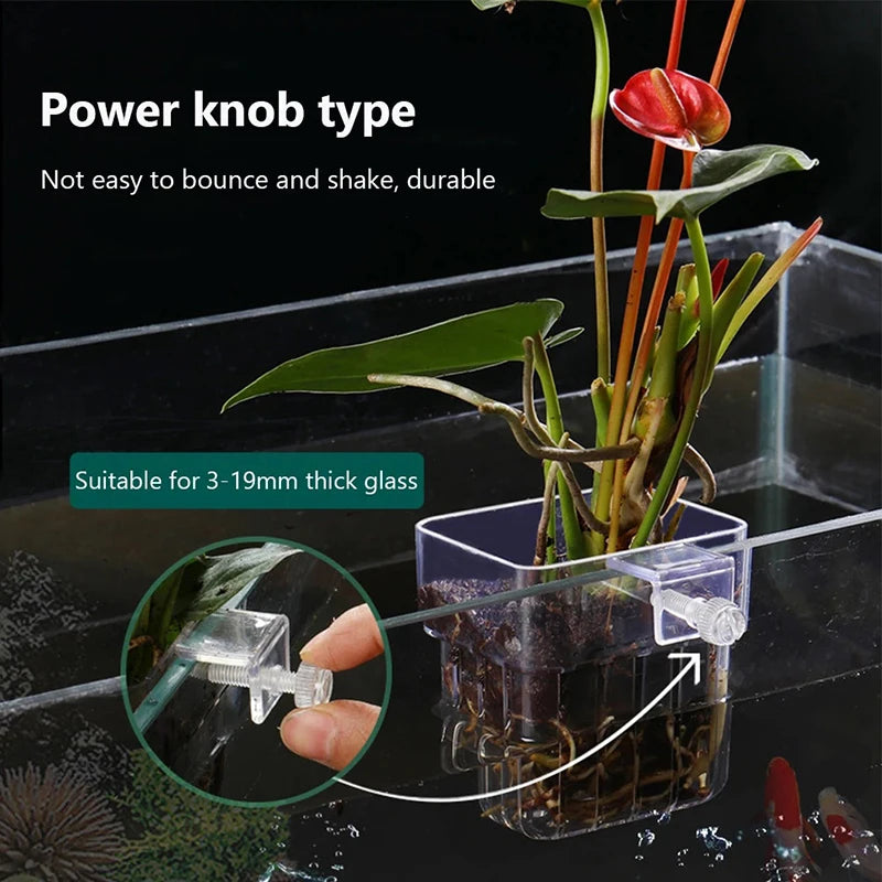 Wall-Mounted Aquarium Planter Cup – Fish Tank Plant Holder Aquarium Plant Holder Axl