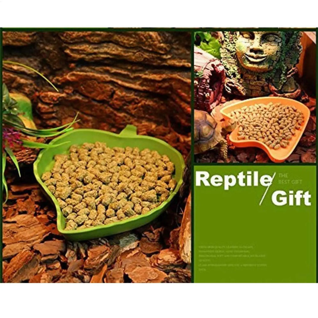 Leaf Shape Reptile Food & Water Bowl – Turtle, Lizard, Gecko Reptile Feeder Bowl Axl