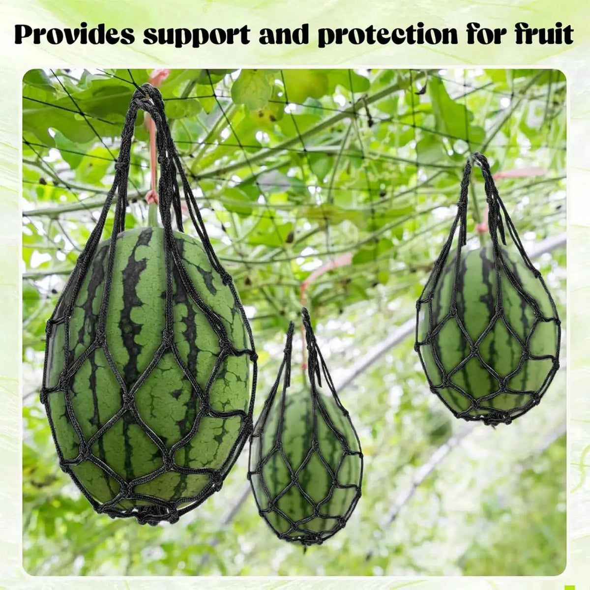 Watermelon Hammock Trellis Sling – 10-Piece Fruit Support Net Fruit Support Sling Axl