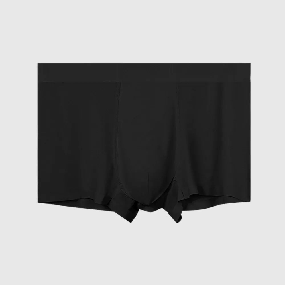 Men's Ice Silk Boxer Briefs – Soft Nylon Underwear L–4XL Men's Boxer Briefs Axl