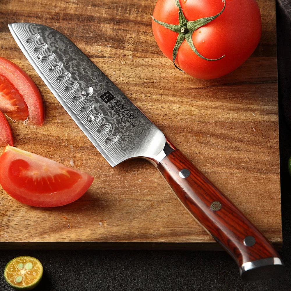 XINZUO 5" Damascus Santoku Knife – 67-Layer Rosewood Handle Damascus Kitchen Knife Axl