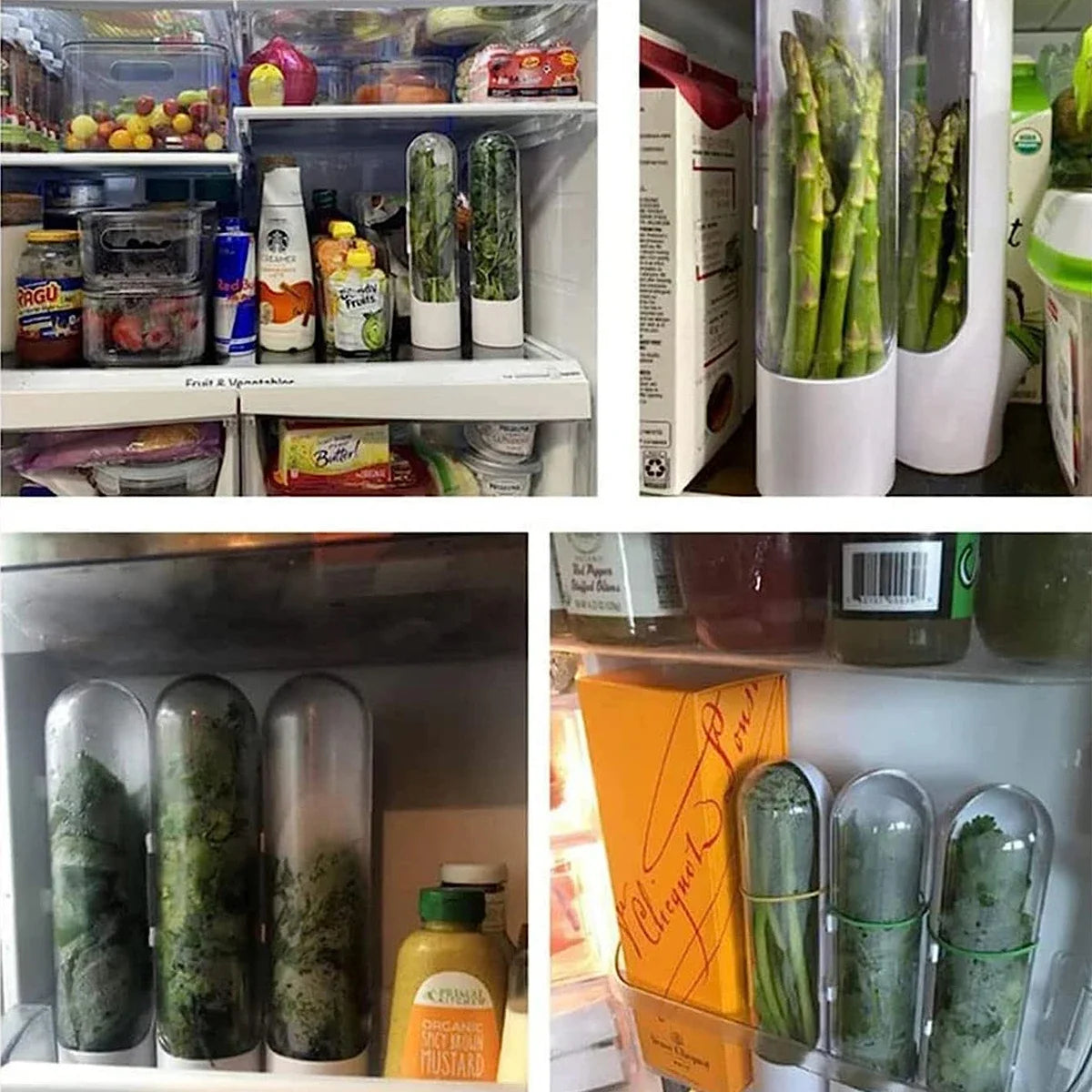 Fresh Herb Keeper Container – Fridge Herb Storage Pod Herb Storage Container Axl