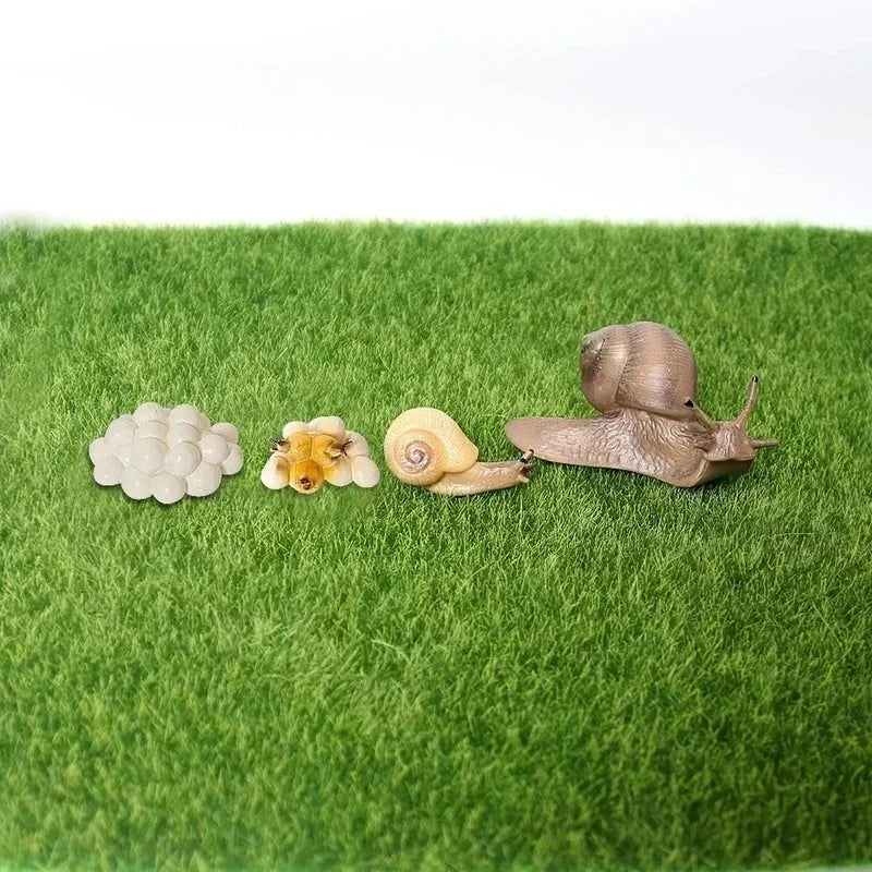 Realistic PVC Snail Animal Model | Kawaii Miniature Garden Decor Miniature Animal Figurine Axl