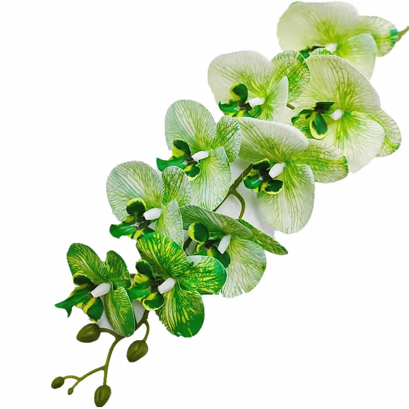 Real Touch Artificial Orchid – 9 Heads Phalaenopsis Stem 91cm Artificial Flower Stem Axl green
